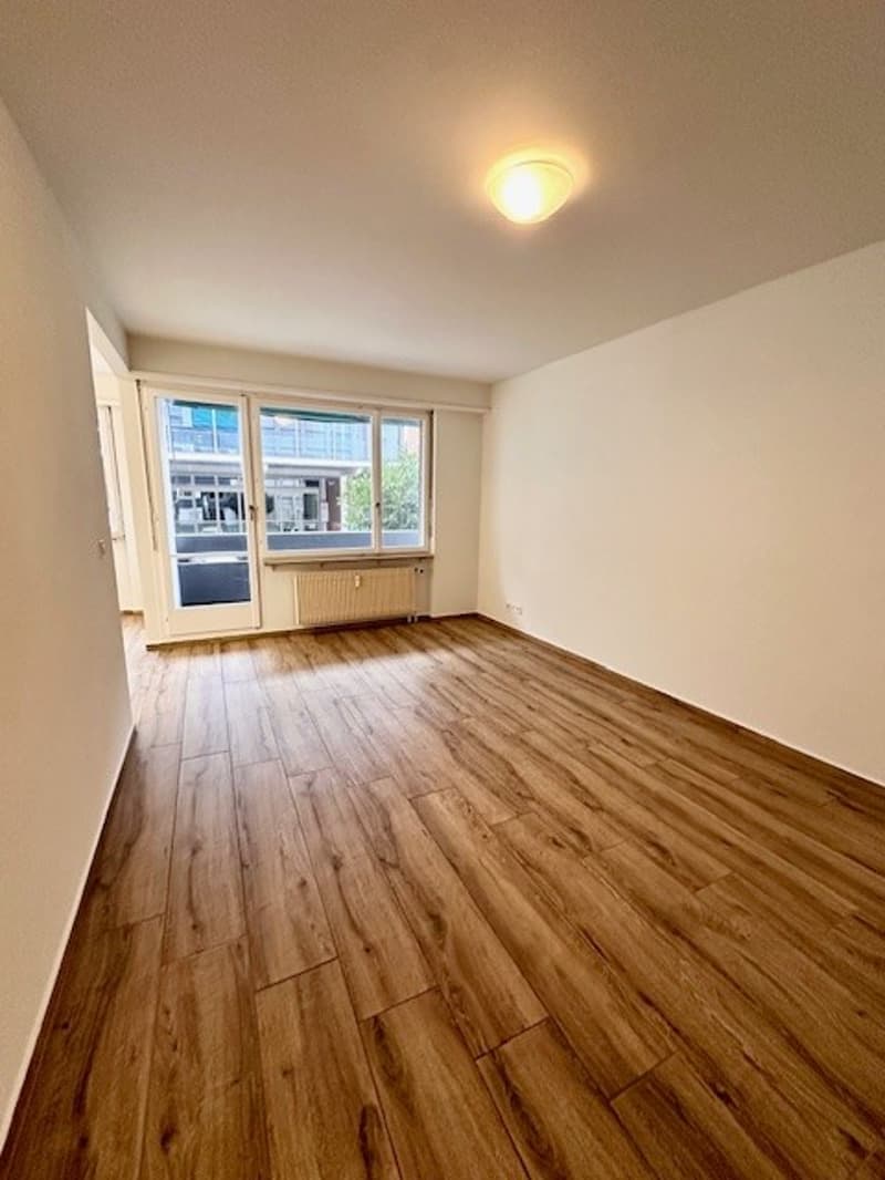 Charmante 2-Zimmer-Wohnung mit Balkon und schöner Aussicht in Basel (1)