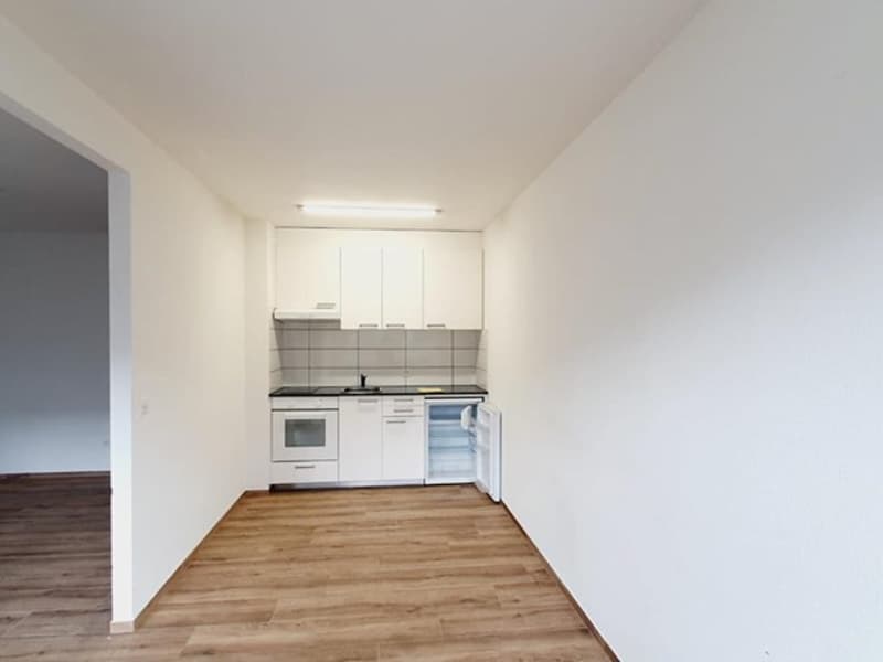 Charmante 2-Zimmer-Wohnung mit Balkon und schöner Aussicht in Basel (5)
