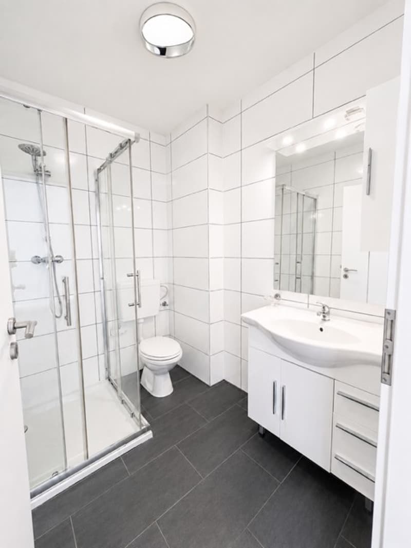 Helle 1.5-Zimmer-Wohnung an top Lage in Basel (4058) (7)
