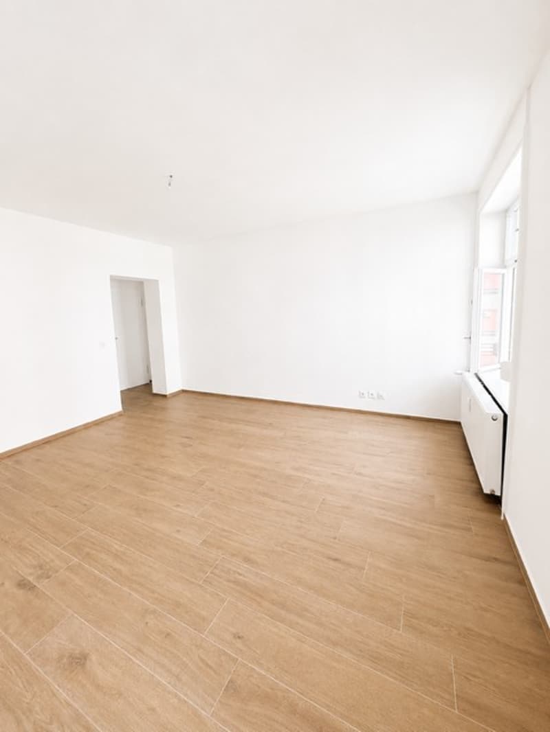 Helle 1.5-Zimmer-Wohnung an top Lage in Basel (4058) (2)