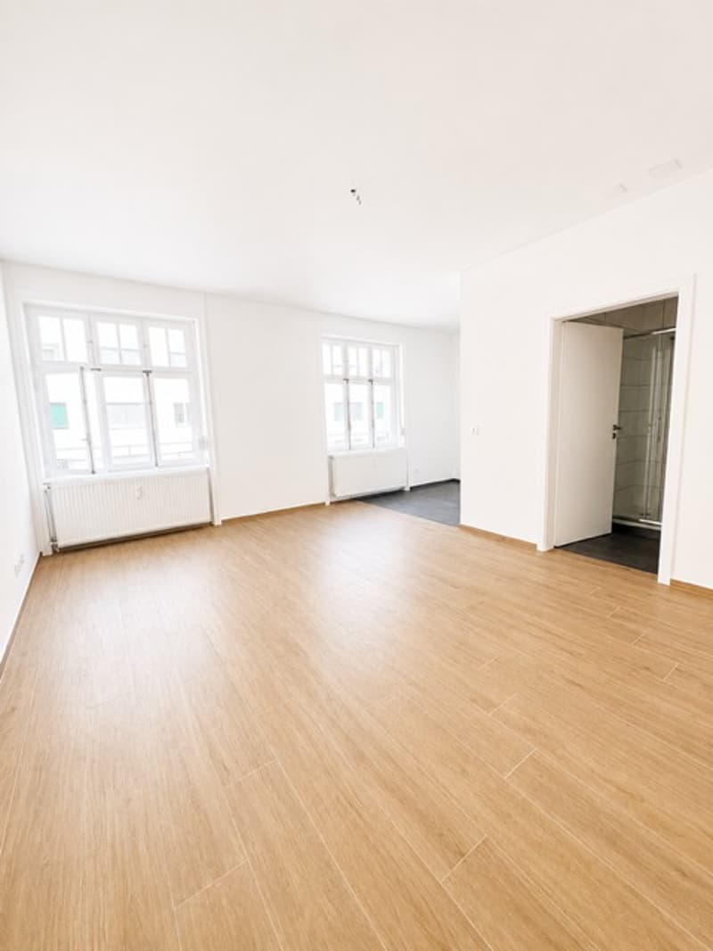 Helle 1.5-Zimmer-Wohnung an top Lage in Basel (4058) (1)