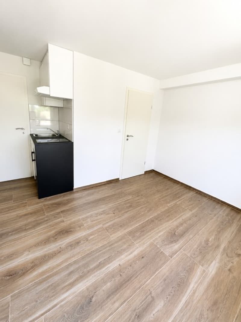 Gemütliches renoviertes 1-Zimmer-Apartment in Münchenstein (3)
