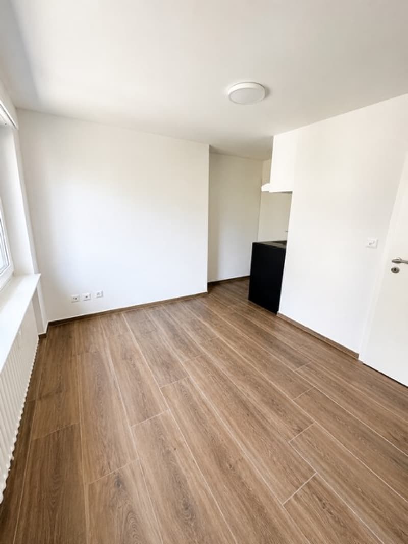 Gemütliches renoviertes 1-Zimmer-Apartment in Münchenstein (1)