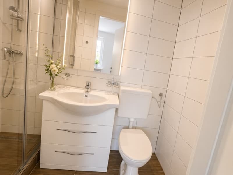 Gemütliches renoviertes 1-Zimmer-Apartment in Münchenstein (7)