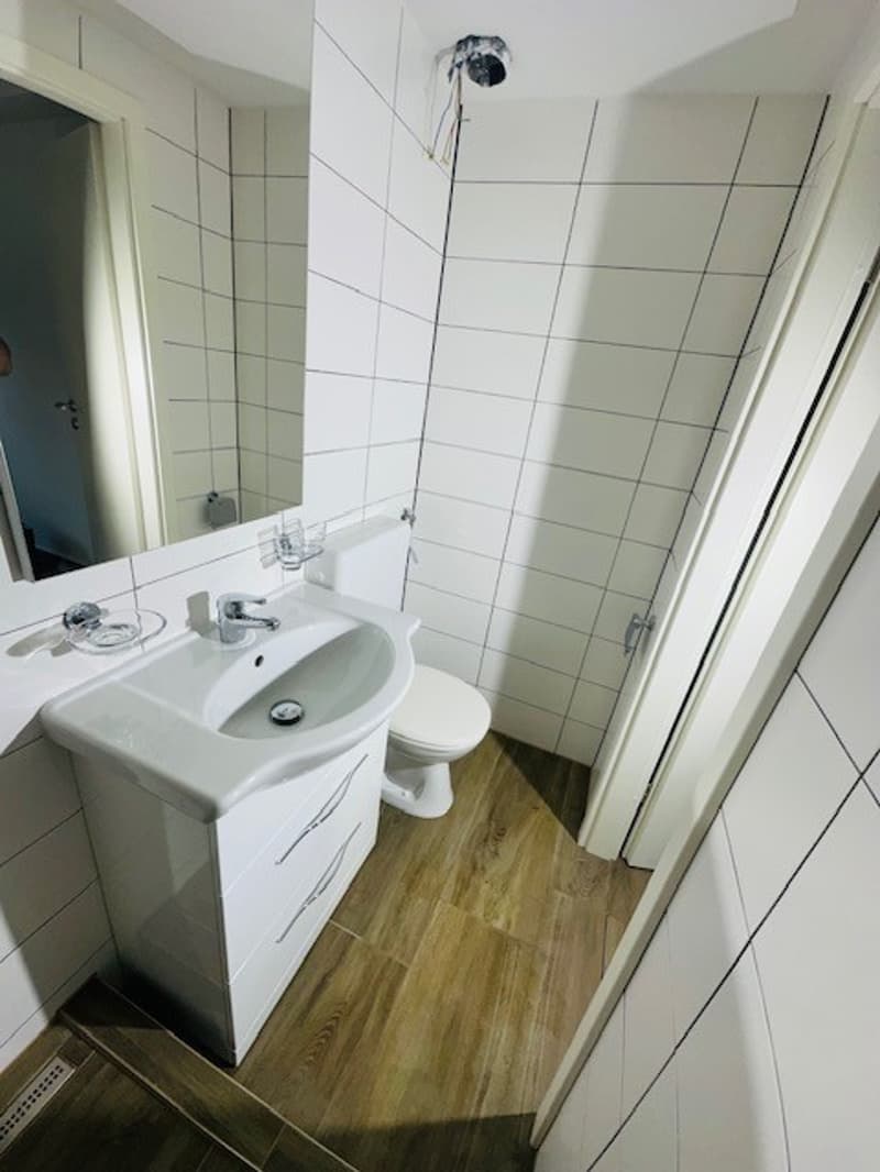 Gemütliches renoviertes 1-Zimmer-Apartment in Münchenstein (9)