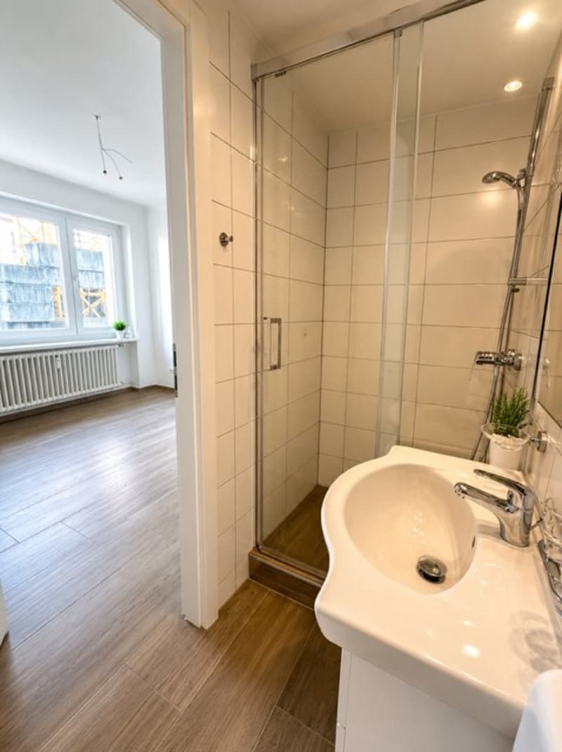 Gemütliches renoviertes 1-Zimmer-Apartment in Münchenstein (8)