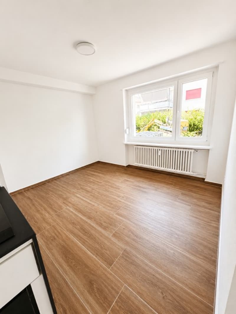 Gemütliches renoviertes 1-Zimmer-Apartment in Münchenstein (2)