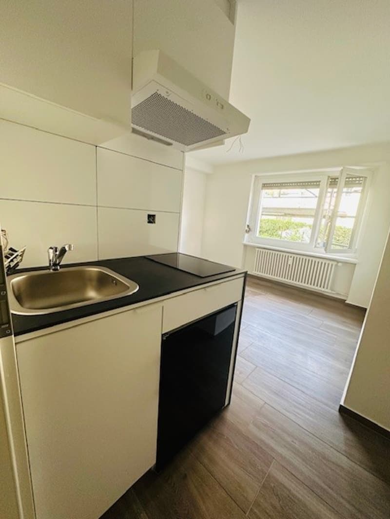 Gemütliches renoviertes 1-Zimmer-Apartment in Münchenstein (5)