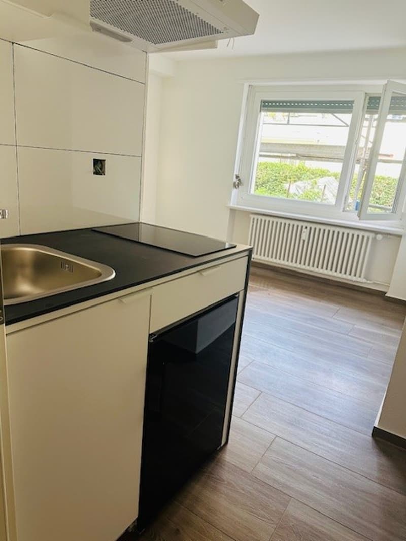 Gemütliches renoviertes 1-Zimmer-Apartment in Münchenstein (6)