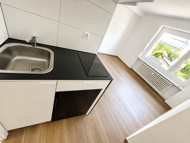Gemütliches renoviertes 1-Zimmer-Apartment in Münchenstein (4)