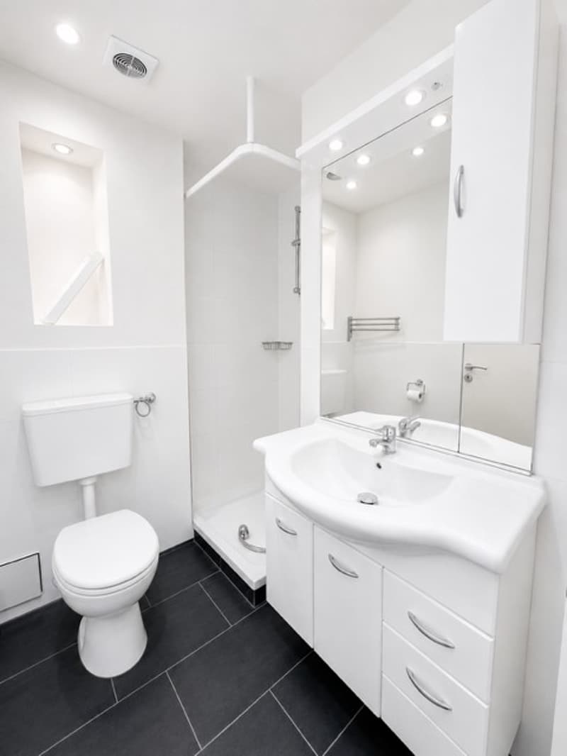 Helle 2-Zimmer-Wohnung mit Balkon im 4. OG in Basel (9)