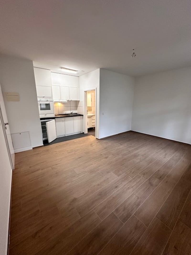 Charmante 1.5-Zimmer-Wohnung mit Balkon in Basel (1)
