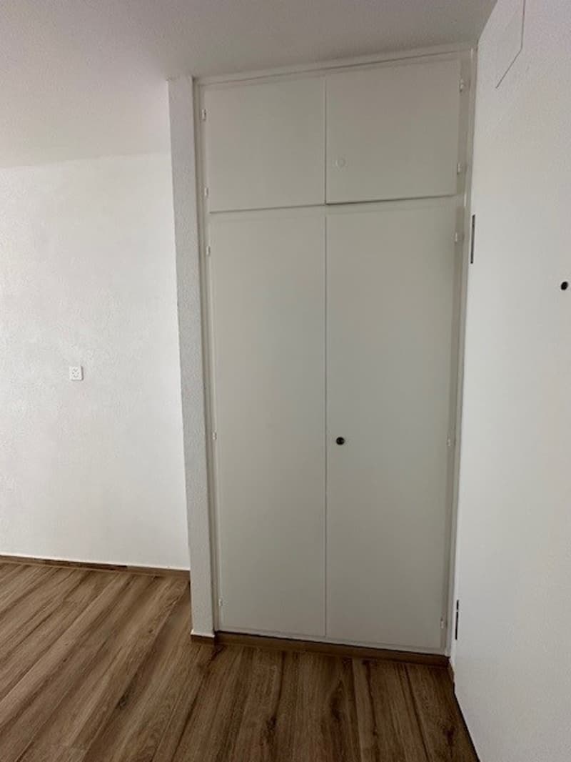 Attraktive, renovierte helle 1-Zimmerwohnung (7)