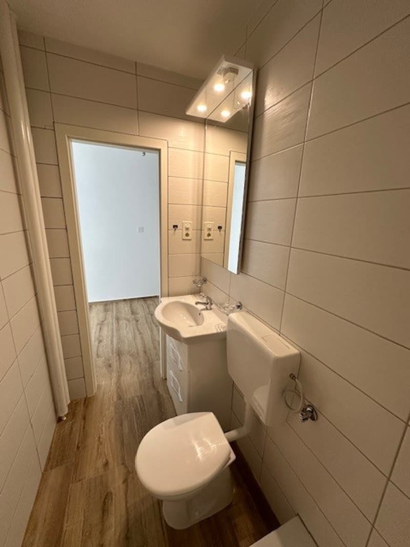 Attraktive, renovierte helle 1-Zimmerwohnung (8)
