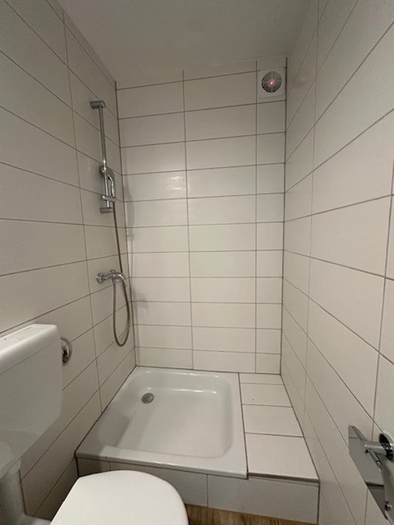 Attraktive, renovierte helle 1-Zimmerwohnung (11)