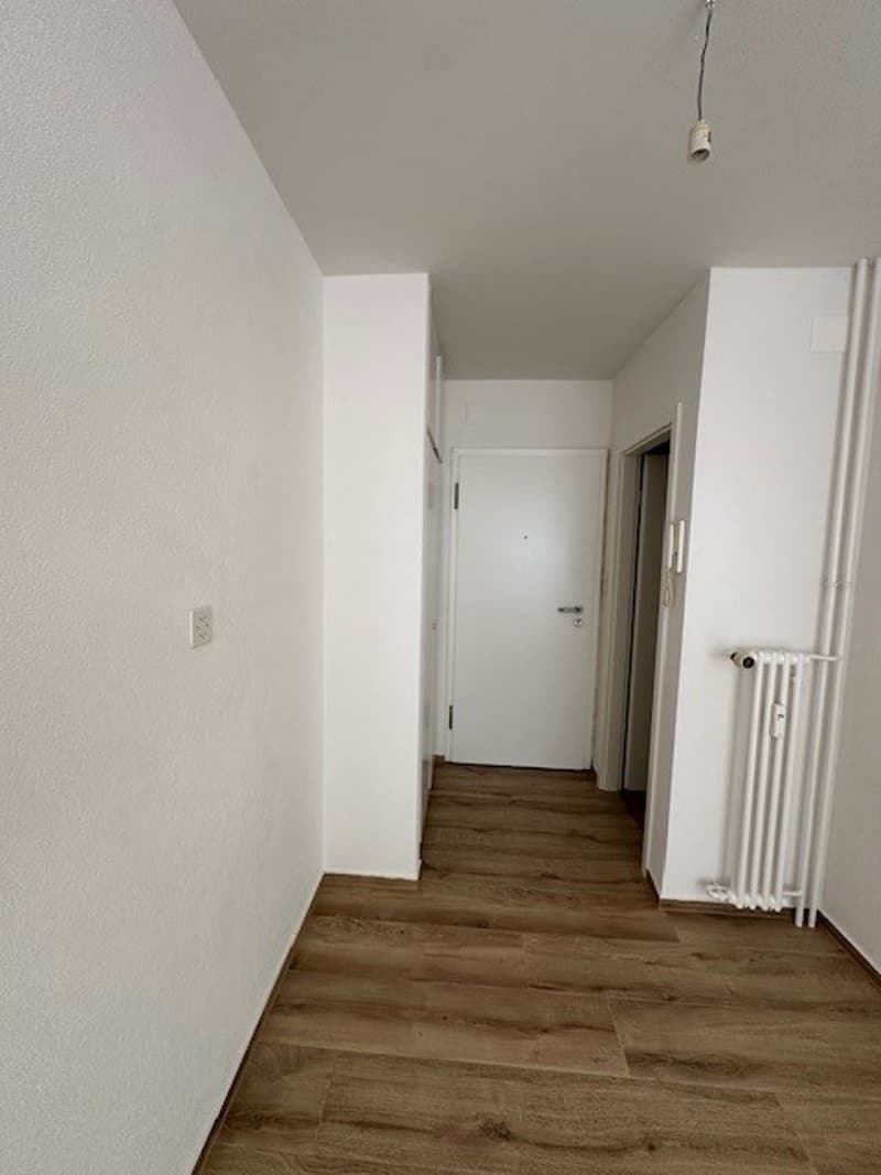 Attraktive, renovierte helle 1-Zimmerwohnung (6)