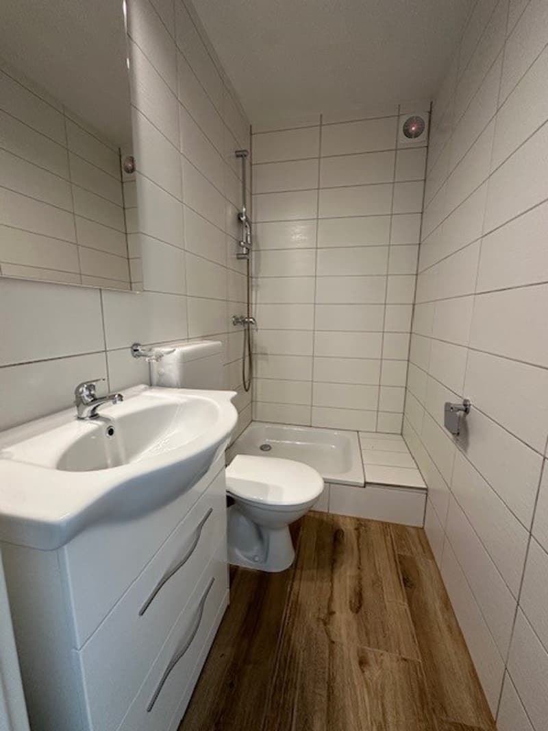 Attraktive, renovierte helle 1-Zimmerwohnung (9)