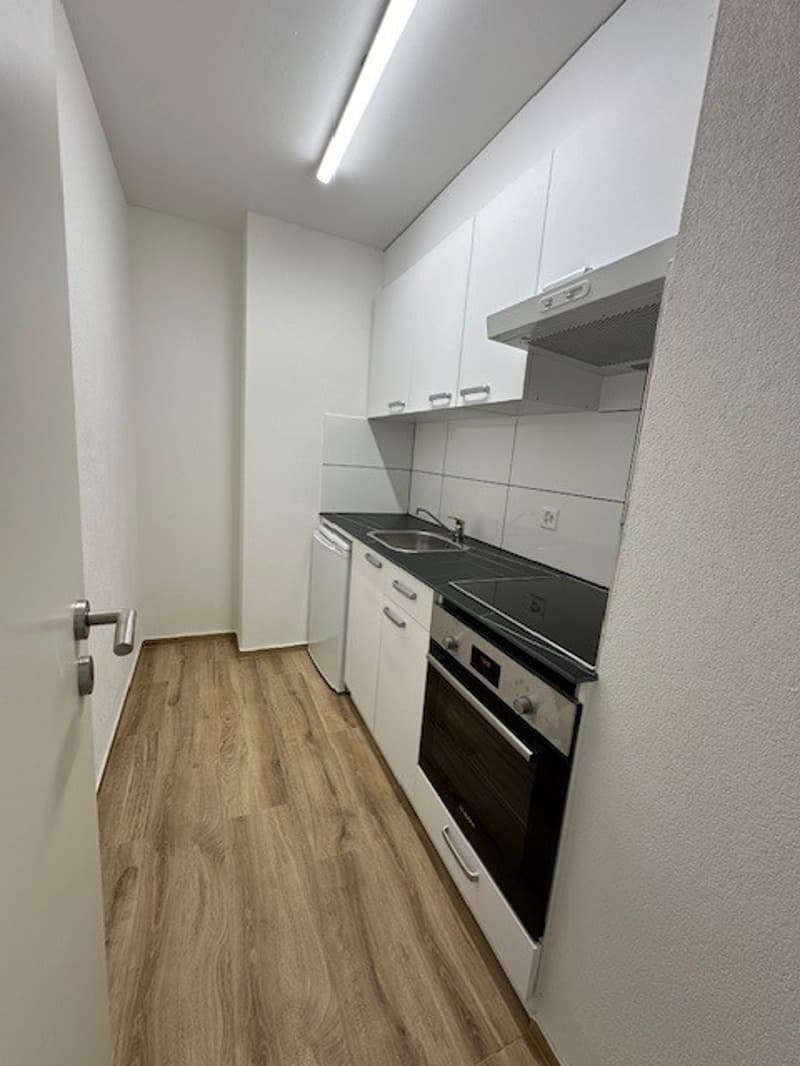 Attraktive, renovierte helle 1-Zimmerwohnung (5)