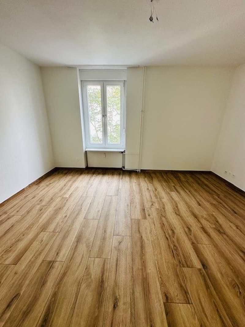 Charmante 1.5-Zimmer-Wohnung mit Balkon in Basel (4)