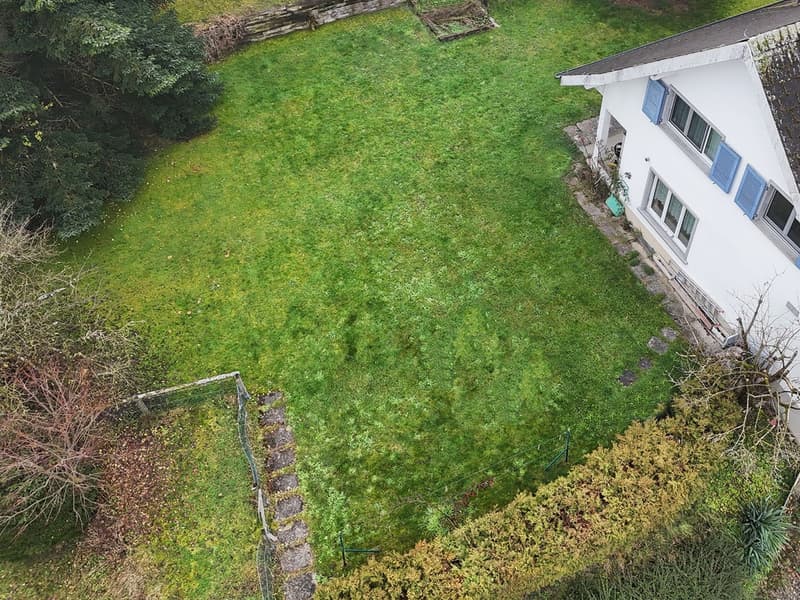 Green lawn, hedge, a house is visible on the right side of the image