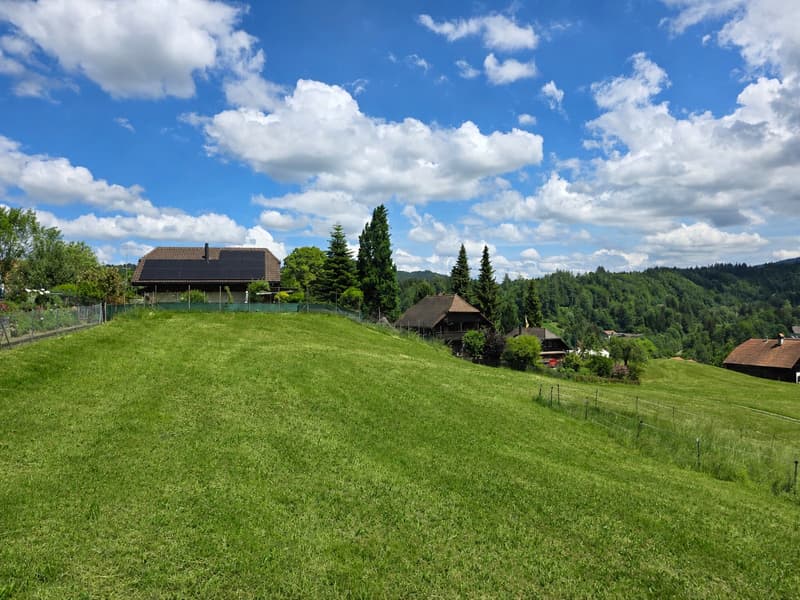Einfamilienhaus-Grundstücke an ruhiger Lage (2)