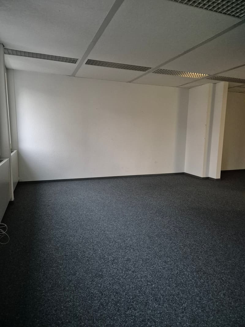 An empty room with white walls, black carpeted floor, two windows with white radiators, and a ceiling with visible ventilation.