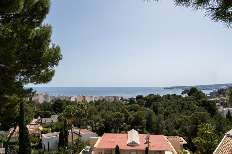 The image shows a scenic view of a coastal town or city. The foreground features a lush, green landscape with pine trees and other vegetation. In the background, there are several multi-story residential buildings or apartments overlooking the ocean, whic