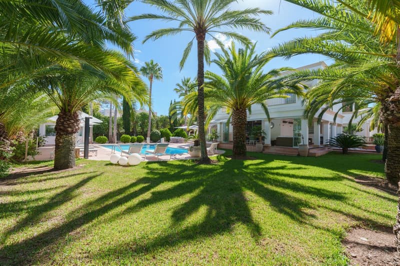 Lush tropical garden with palm trees, green lawn, swimming pool, and outdoor seating area