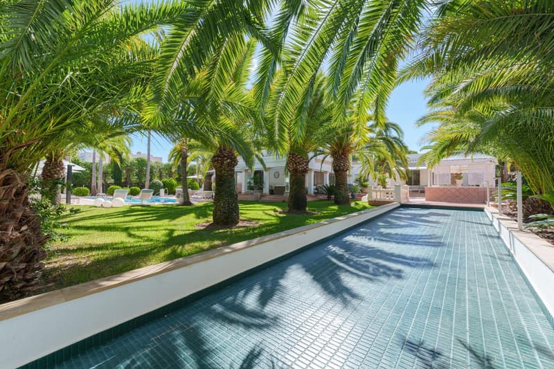 Lush tropical garden with palm trees, a swimming pool, and a paved walkway leading to a building with balconies.