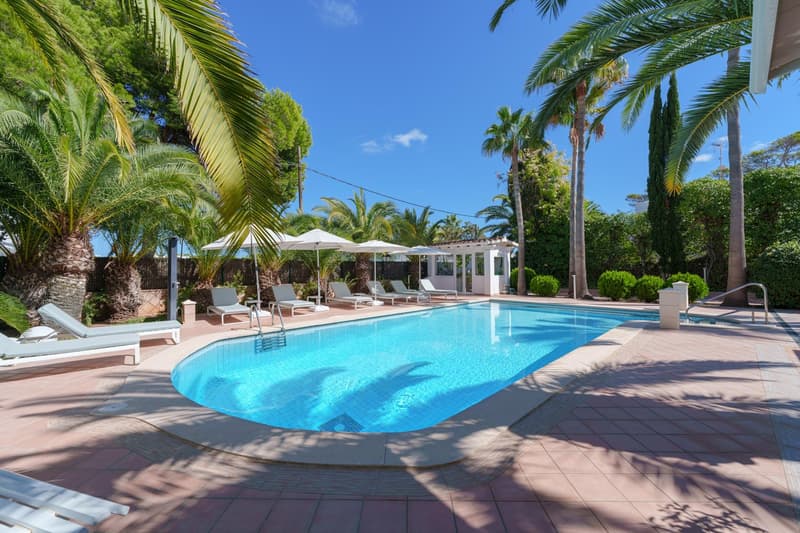 Outdoor swimming pool surrounded by palm trees, lounge chairs, and umbrellas. The pool area has a paved deck and appears to be part of a larger resort or hotel property.