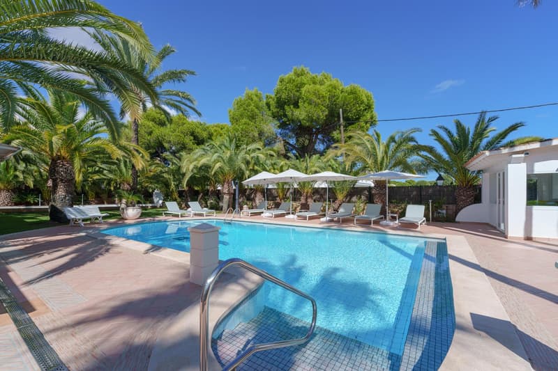 The image shows a large outdoor swimming pool surrounded by palm trees, umbrellas, and lounge chairs. The pool area appears to be part of a resort or hotel, with a white building visible in the background. The sky is a bright blue, creating a picturesque