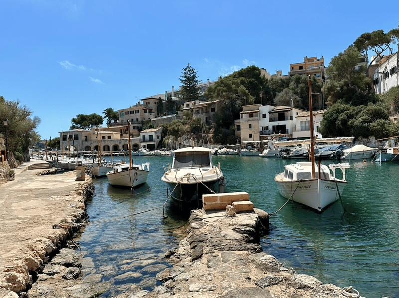 Picturesque harbor with small boats and yachts docked, surrounded by colorful Mediterranean-style buildings on a hillside with lush vegetation.