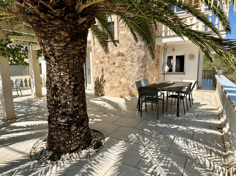 The image shows an outdoor patio area with a large palm tree in the center. The patio has a stone wall and a dining table with chairs. There is a balcony or terrace visible above the patio area.