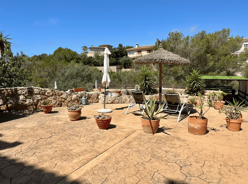 Outdoor patio with stone flooring, potted plants and cacti, patio furniture, and a thatched umbrella. The patio is surrounded by lush greenery and trees, with buildings visible in the background.