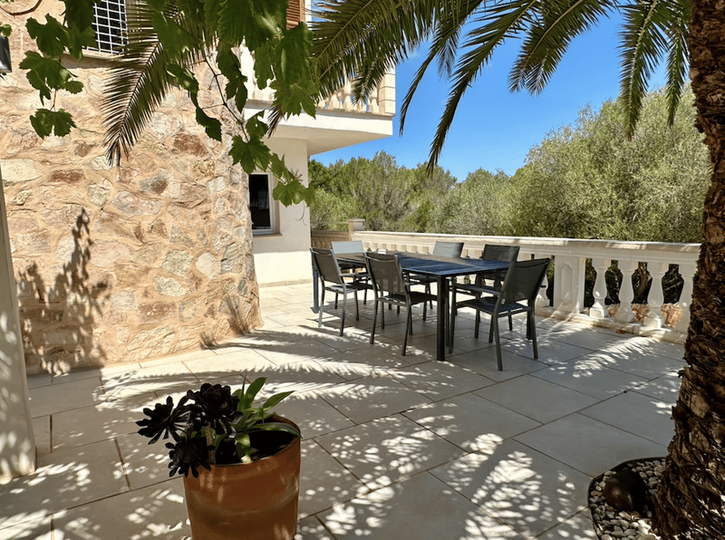Covered outdoor patio with stone walls, a dining table and chairs, potted plants, and palm trees in the background.