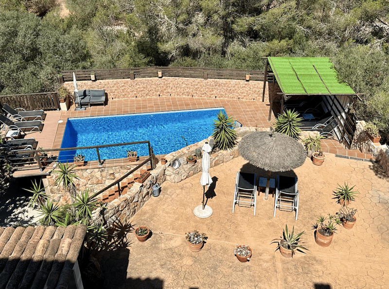 Outdoor patio with a swimming pool, surrounded by lush greenery and plants. The patio features a thatched-roof structure, lounge chairs, and potted plants. The pool is a rectangular shape with a blue tiled interior.