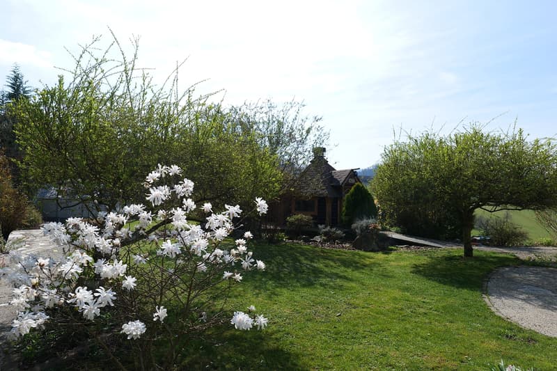 Wohnen an schöner Aussichtslage in Himmelried (2)