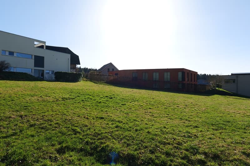 large green lawn, 2 buildings in the background, one with a red facade