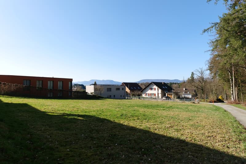 Houses in a rural area, surrounded by trees and grass, mountains in the background