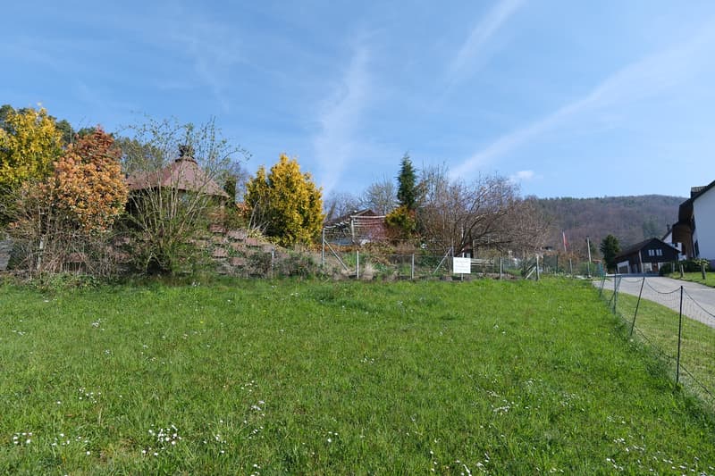Wohnen an schöner Aussichtslage in Himmelried (4)