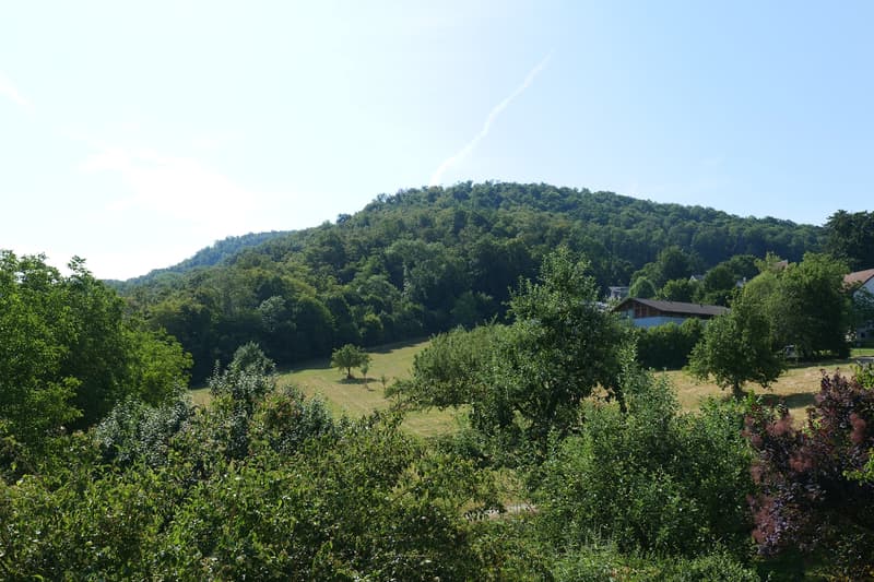 Wohnen an einmaliger Aussichtslage (3)