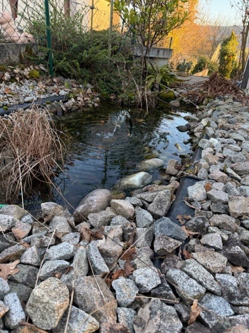 small pond with fountain in a garden surrounded by rocks and dried plants