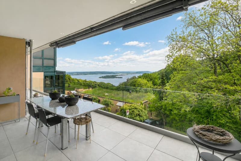 Fehr Immobilien - Exklusive 5½-Zimmer-Premium Terrassenwohnung (2)