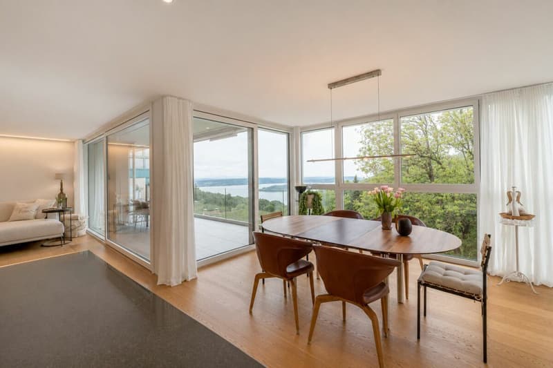 Fehr Immobilien - Exklusive 5½-Zimmer-Premium Terrassenwohnung (6)