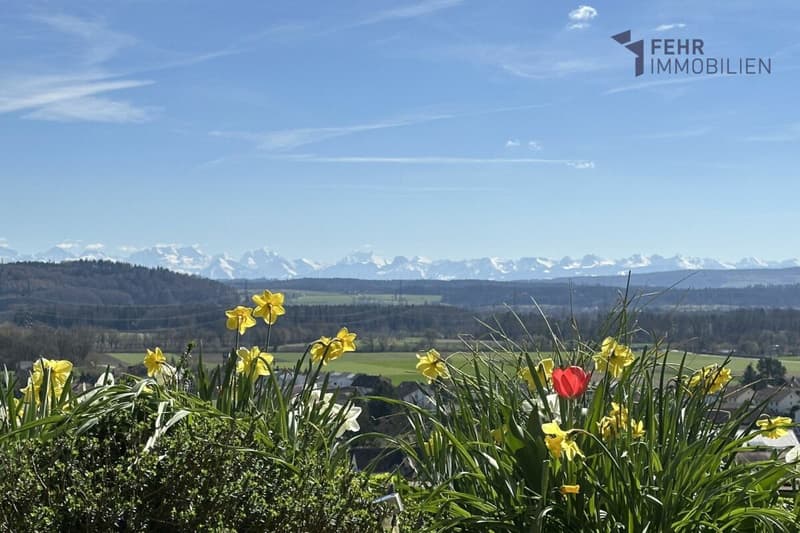 Fehr Immobilien - 4½-Zi.-Terrassenappartement mit herrlicher Aussicht (2)