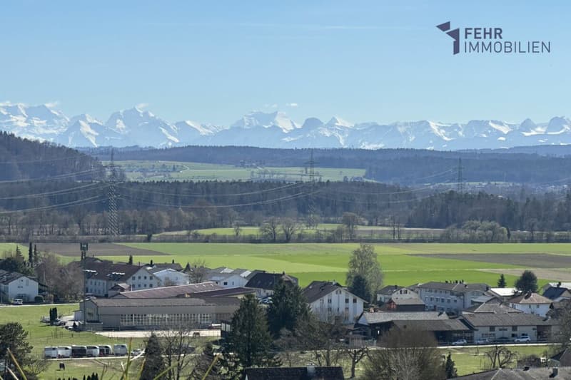 Fehr Immobilien - 4½-Zi.-Terrassenappartement mit herrlicher Aussicht (12)