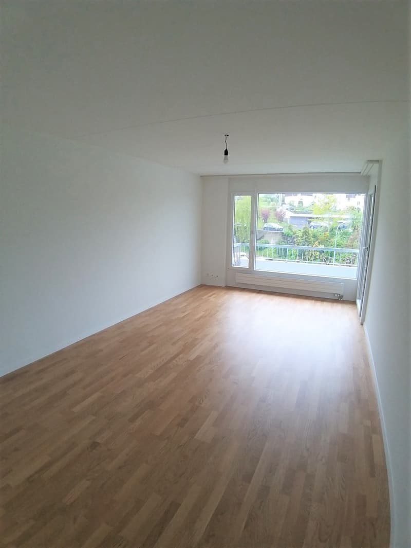 1.5-Zimmer-Wohnung Tiefenhofstrasse 23 (2)