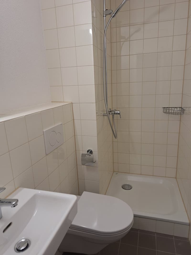 White tiled walls, white floor tiles, silver faucet, sink, toilet, shower cubicle, showerhead