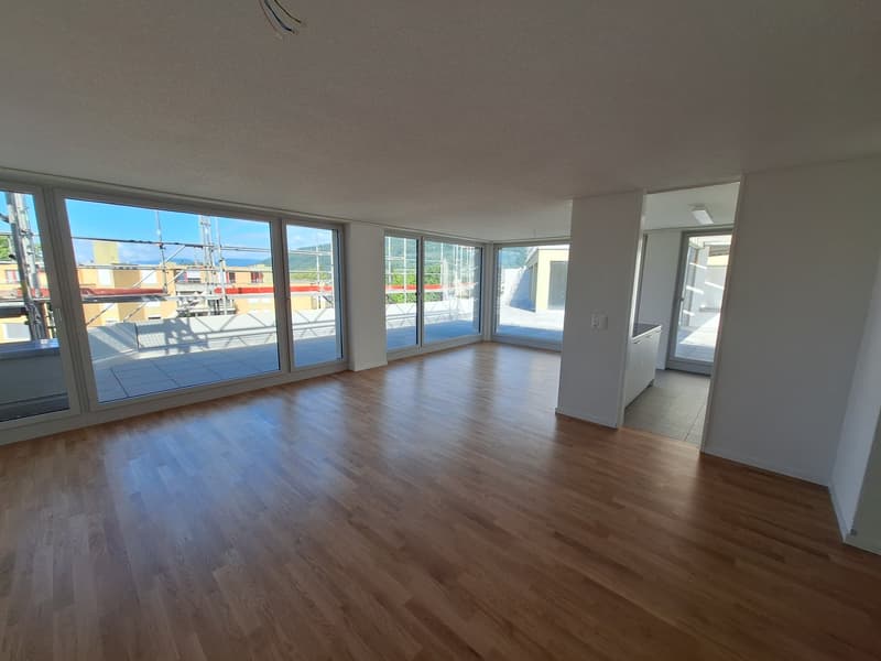 neu renovierte 3.5-Zimmer-Attika-Wohnung (1)