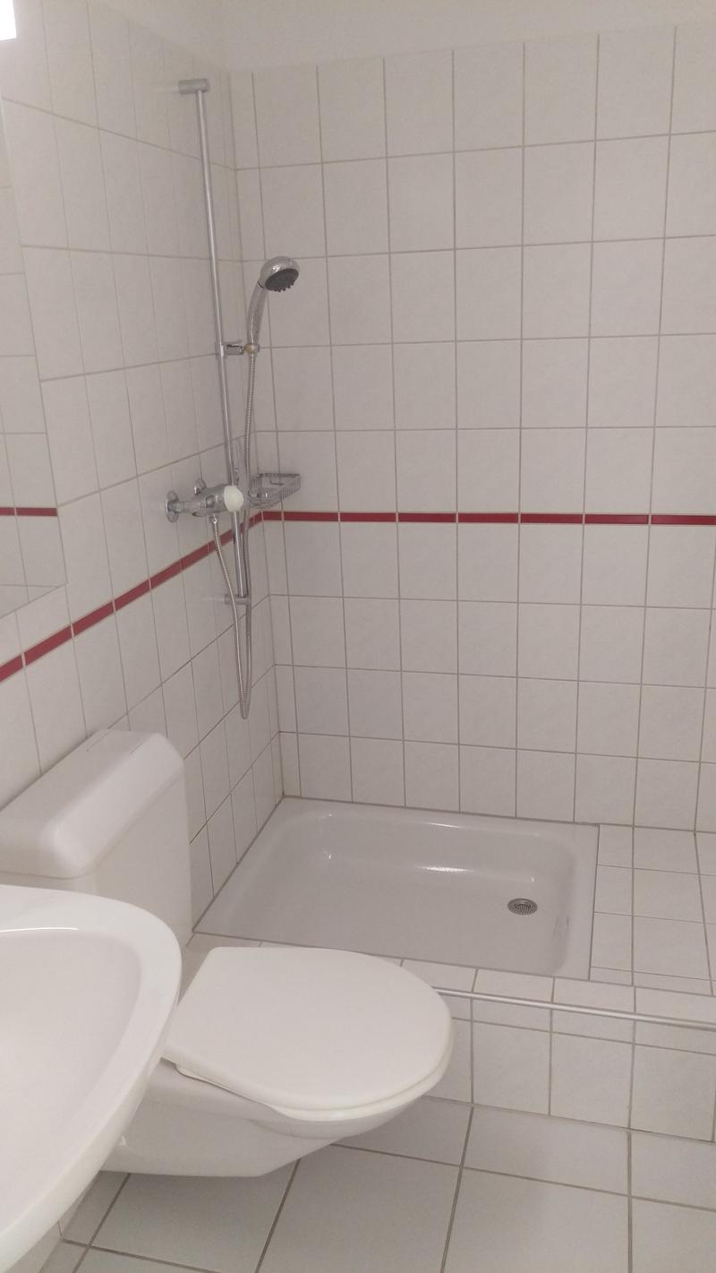 4 1/2-Zimmer-Parterre-Wohnung (6)